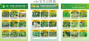 农作物缺素表现图海报