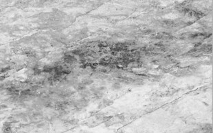 高清鱼肚灰大理石