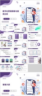 数字化营销策略与案例分析