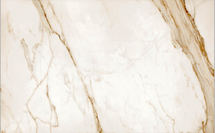 爵士白鱼肚金大理石