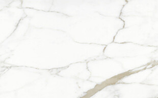 爵士白鱼肚金大理石