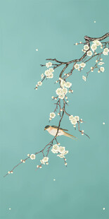 花鸟梅花