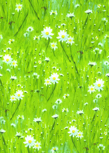 数码印花小菊花