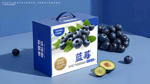 蓝莓包装