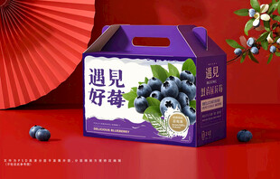 蓝莓包装礼盒