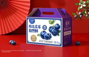 蓝莓包装礼盒
