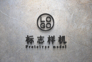 高端LOGO样机