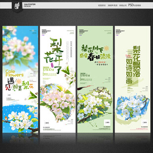 梨花