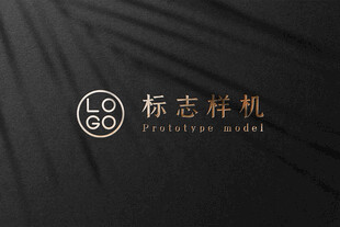 高端LOGO样机