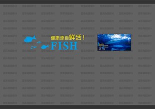 水产形象墙