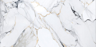 爵士白鱼肚金大理石