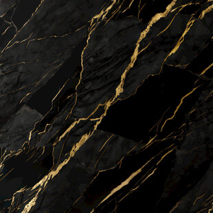 黑金花 金龙黑高清瓷砖设计