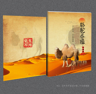 骆驼封面