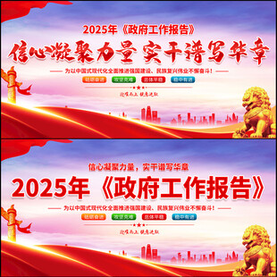 2025年两会
