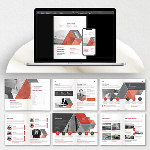 物流画册cdr设计模板