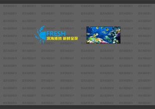 水产背景墙