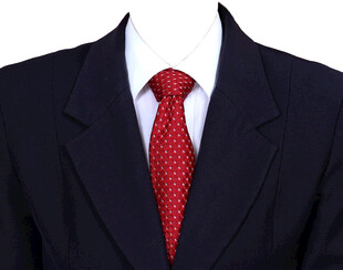 红领带女正装西装西服医生素材