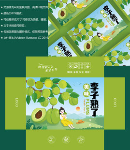 李子包装 水果盒子