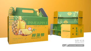 菠萝包装 平面图
