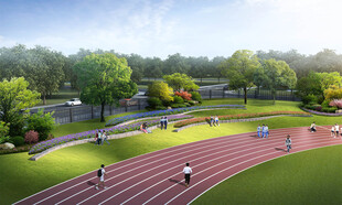 校园绿化效果图