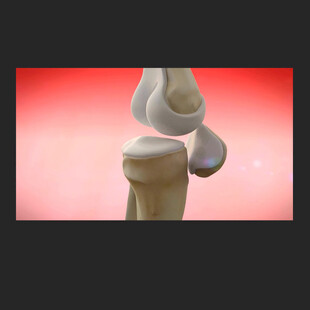 关节活动骨骼健康动画