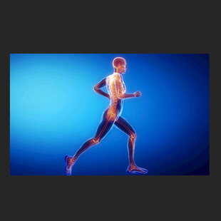 关节活动骨骼健康动画