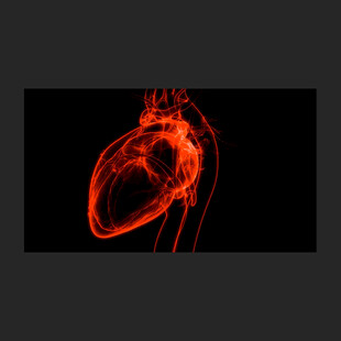 心脏心跳3D透视动画