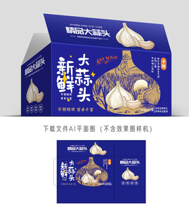 大蒜头包装
