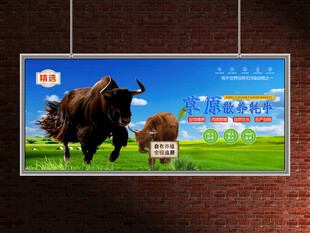 牦牛展板