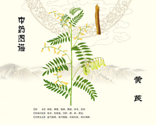黄芪中药黄芪