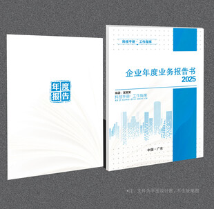 年度业务报告封面