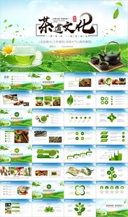 绿色茶叶茶文化春茶PPT模板