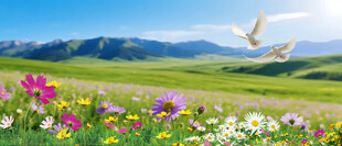 蓝天白云草原风光