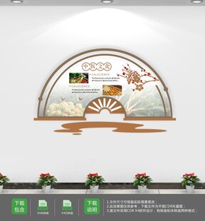 弘扬中医药文化墙