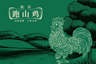散养跑山鸡农产品包装插画背景