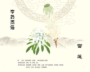 雪莲中药雪莲