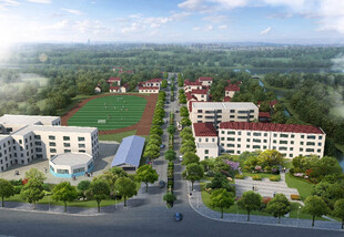 农村道路效果图