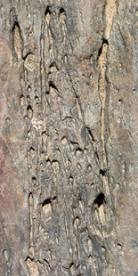 浅褐色岩石纹理