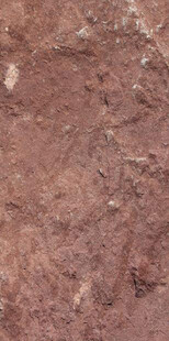 红褐色粗糙地面纹理