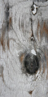 老旧木板上的独特树结