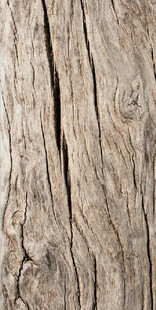 粗糙木纹纹理特写