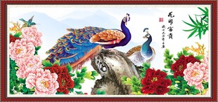 孔雀牡丹图