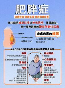 肥胖症宣传单页