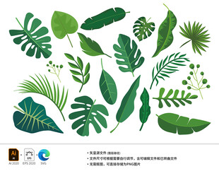 热带绿植叶片矢量素材