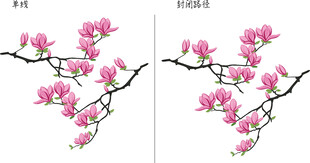 粉色玉兰花枝插画 矢量图