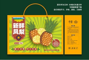 凤梨礼盒包装插画设计