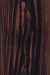 深棕条纹发丝纹理特写