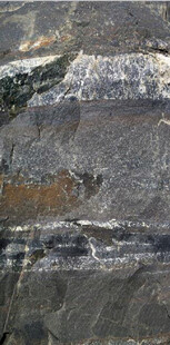 纹理独特的岩石表面