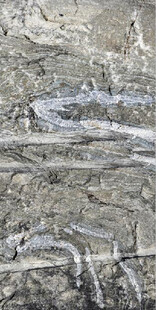 纹理独特的斑驳岩石表面