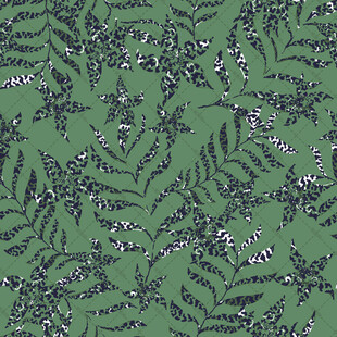 绿色蕨类植物图案纹理